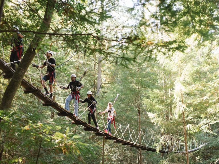 Group of people ziplining through the redwoods in sonoma county