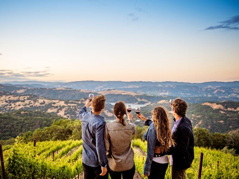 group of people enjoying a glass of wine in the sonoma county vineyards