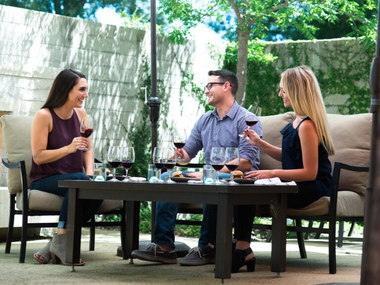 group of people enjoying wine and food in sonoma county