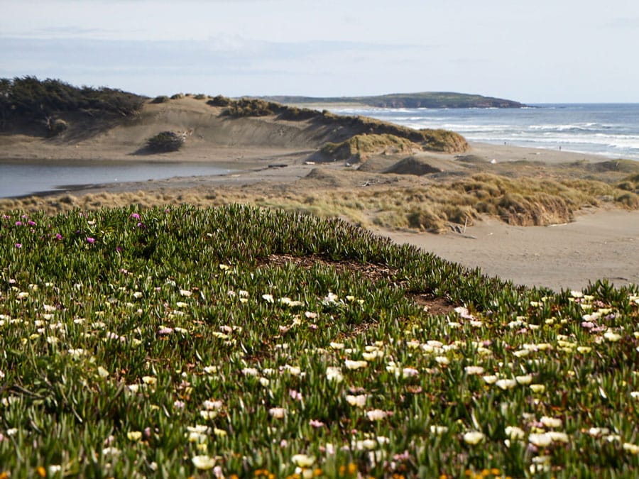 Sunset beach with flowers and people