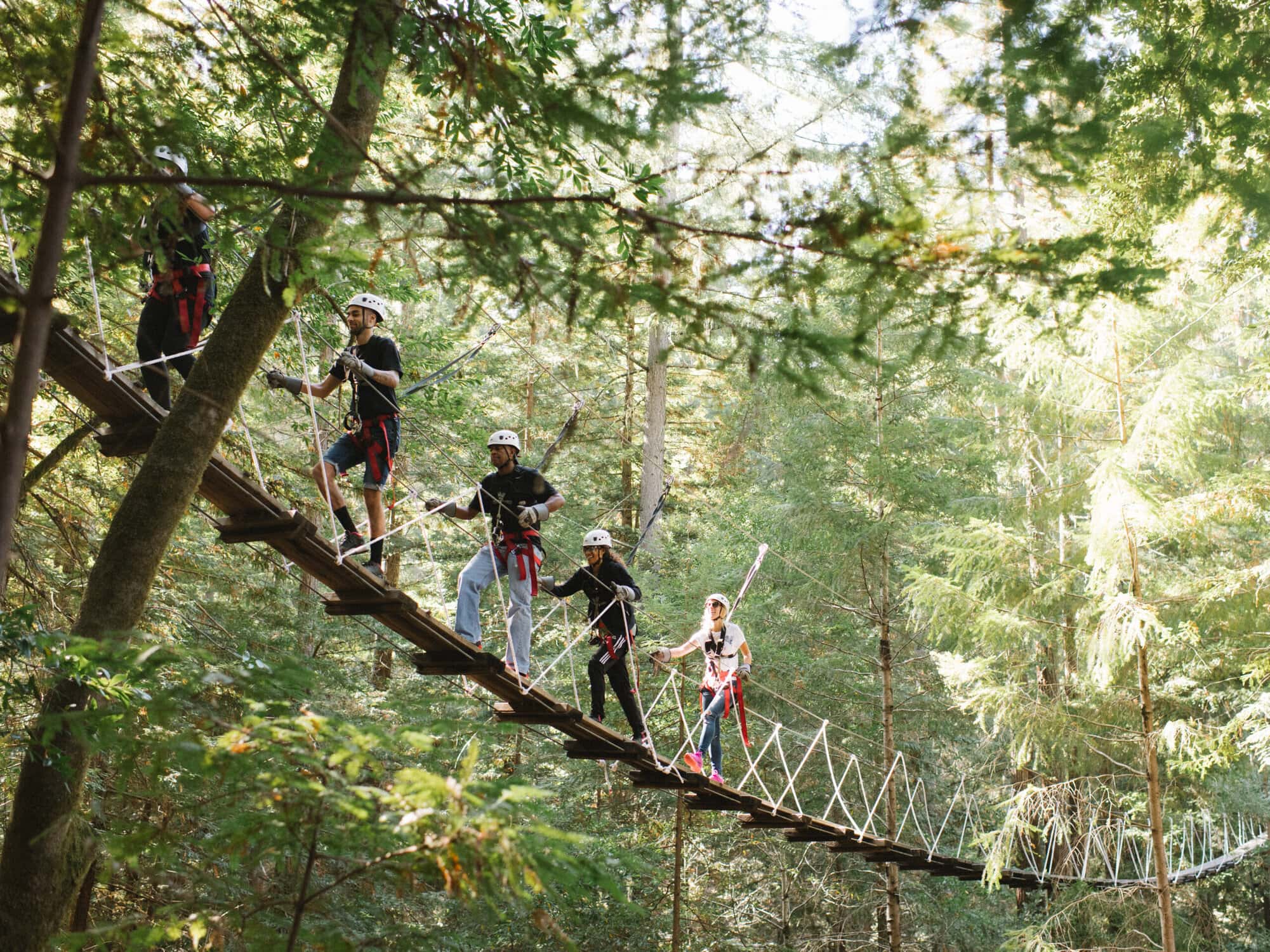 Sonoma Zipline Adventures