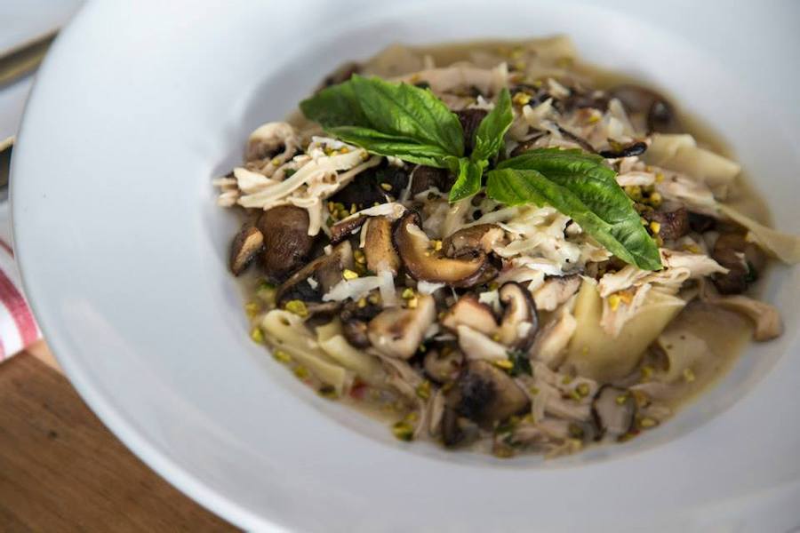 Rotisserie chicken and housemade pappardelle with wild mushrooms and pistachios at Sugo Trattoria in Petaluma