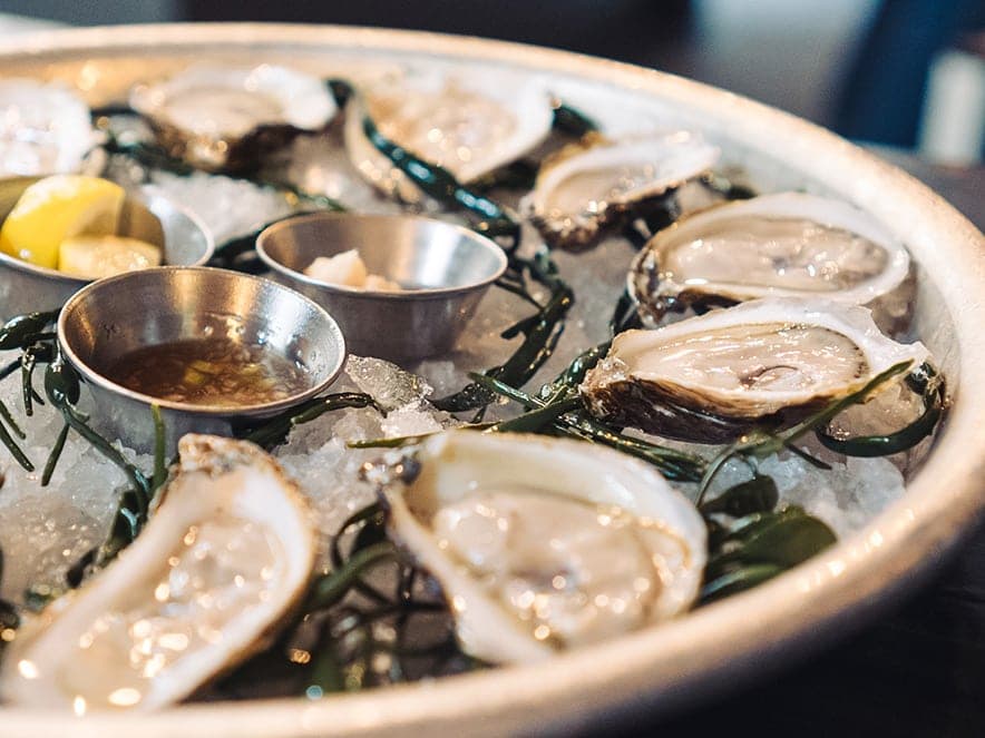 Fresh Oysters at the Shuckery in Petaluma, Sonoma County