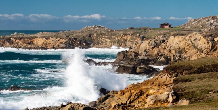 Salt Point State Park in Jenner