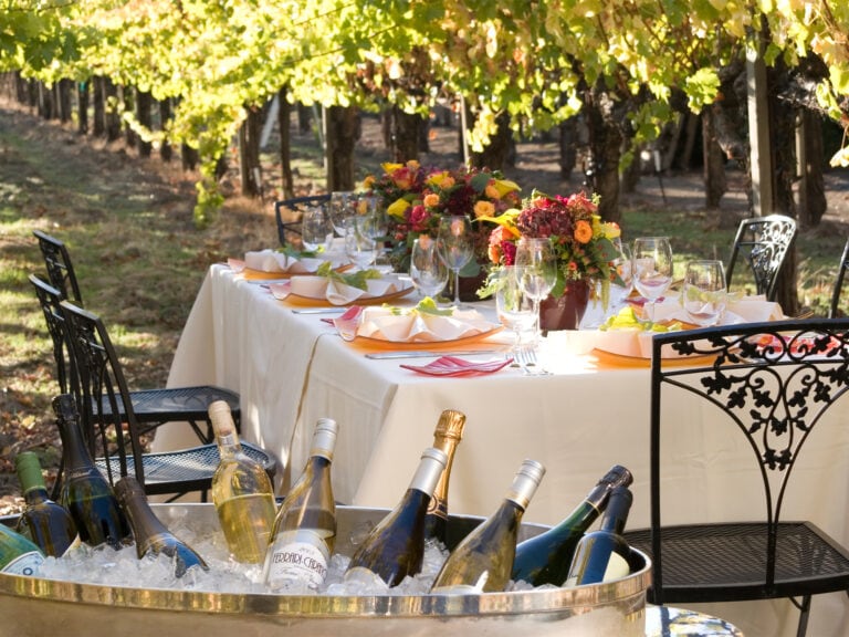 Wedding Reception in the Vineyards at Vintners Resort in Santa Rosa