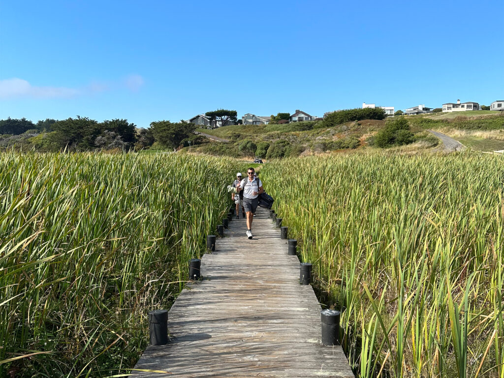 golfing at The Links at Bodega Bay