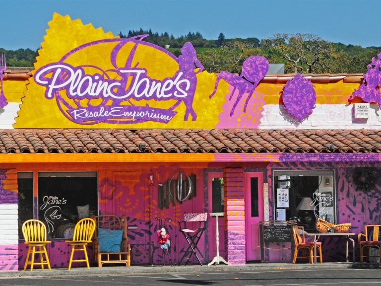 Plain Jane Thrift Shop in Boyes Hot Springs, Sonoma