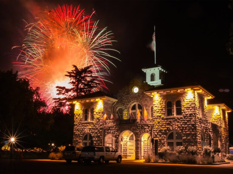 Fourth of July firework show in Sonoma