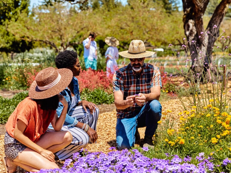 Spring Gardening in Sonoma County