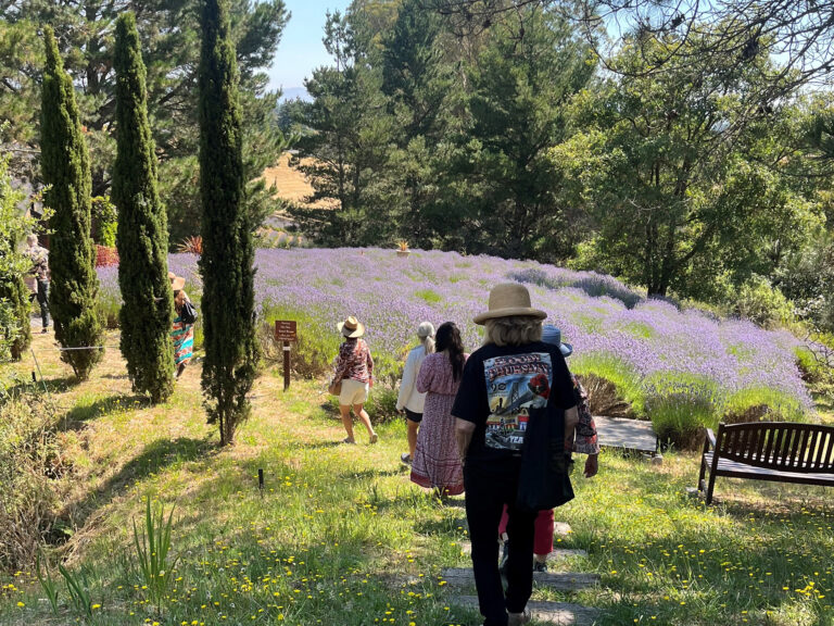AHP at Monte-Bellaria di California, Sebastopl