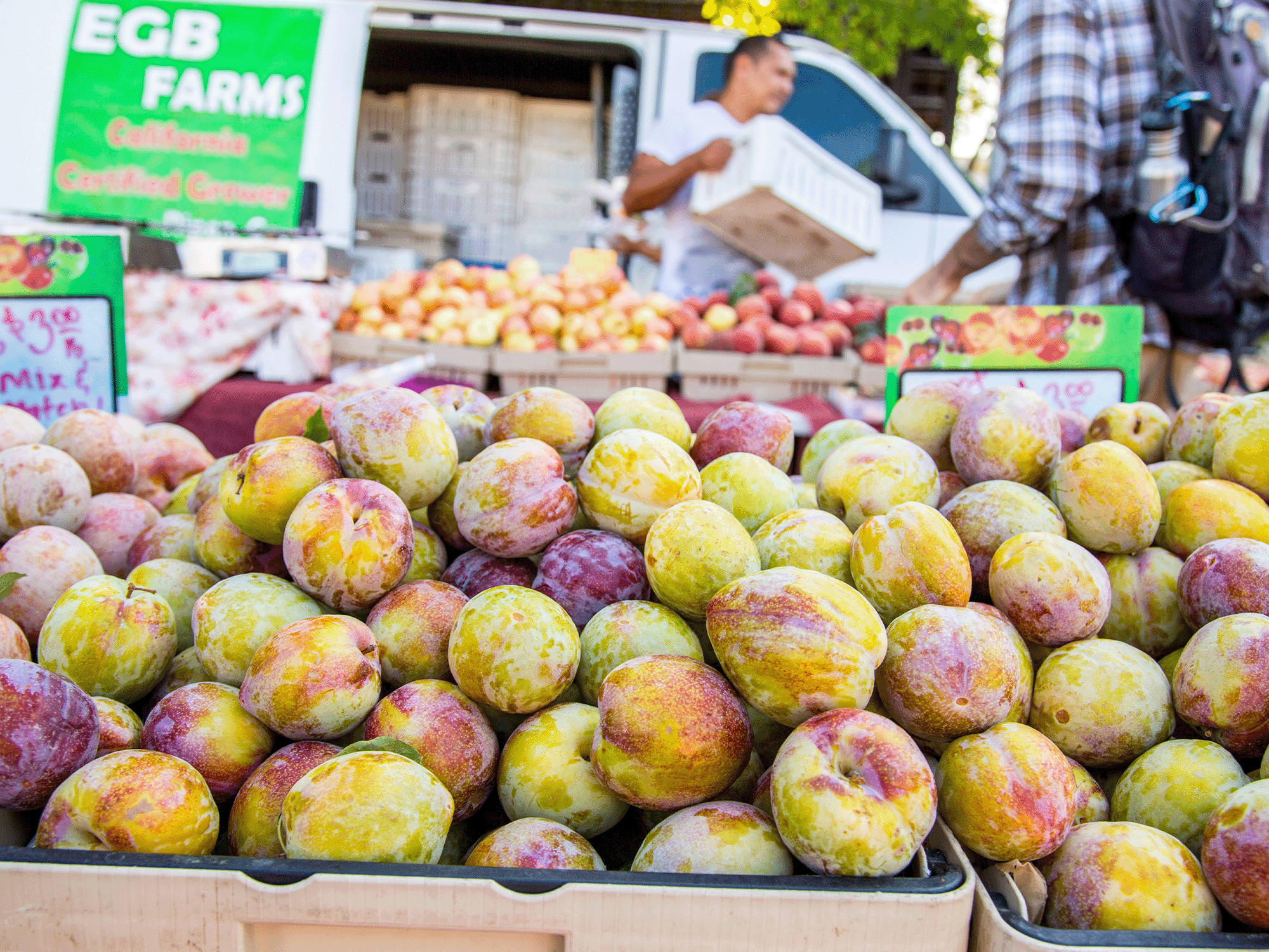 Fresh Fruits at the Santa Rosa Farmers Market