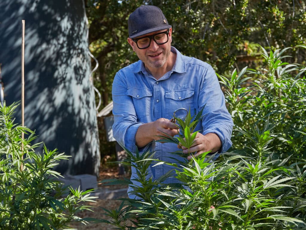 Mine + Farm Inn, Guerneville Cannabis Garden Cultivator