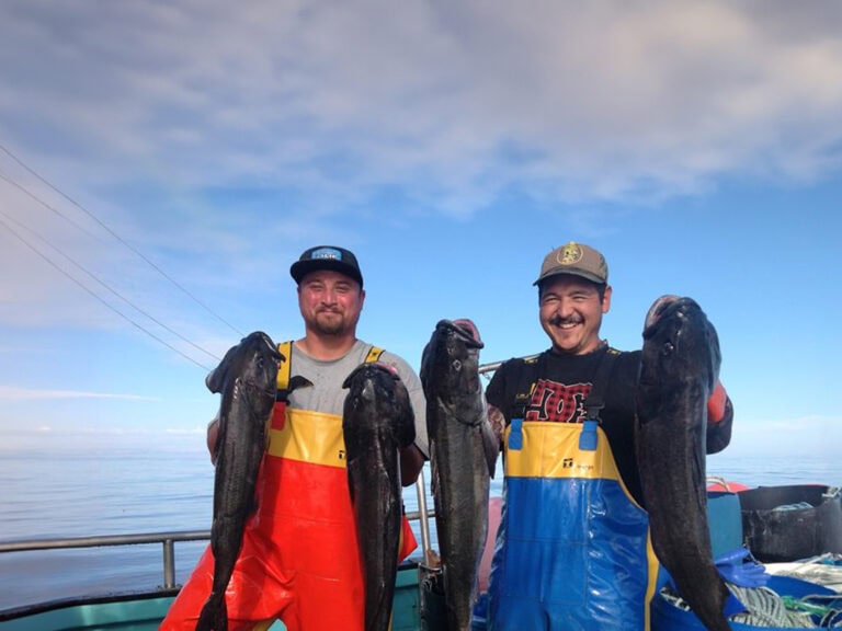 Black Cod Fisherman Bodega Bay