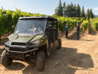 off road vehicle tour in the vineyards