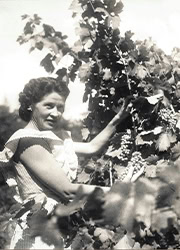 Antonia bartholomew working in the vineyards in Sonoma