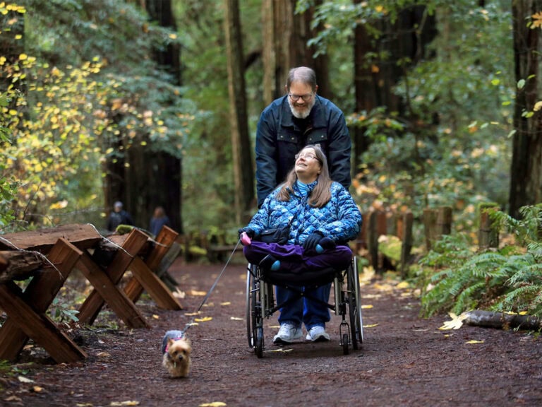 accessible wheelchair trail at armstrong woods park in guerneville