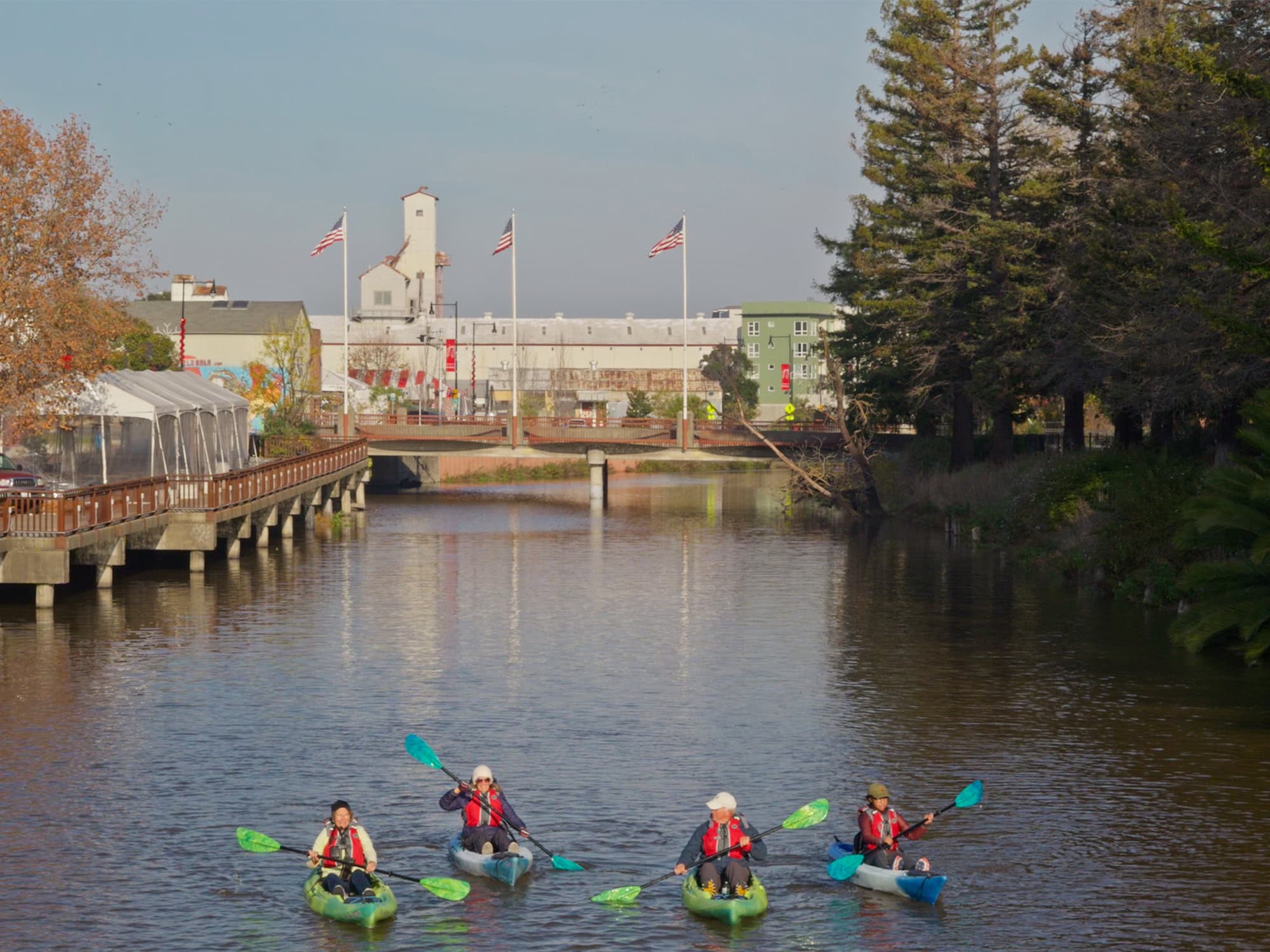people paddling the petaluma river in kayaks