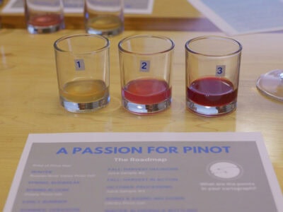 learning about the wine juice in small glasses