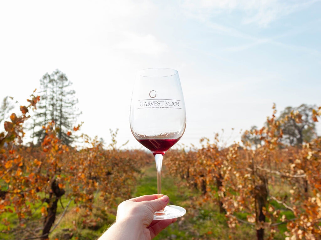 glass of red wine in the vineyards of harvest moon estate and winery