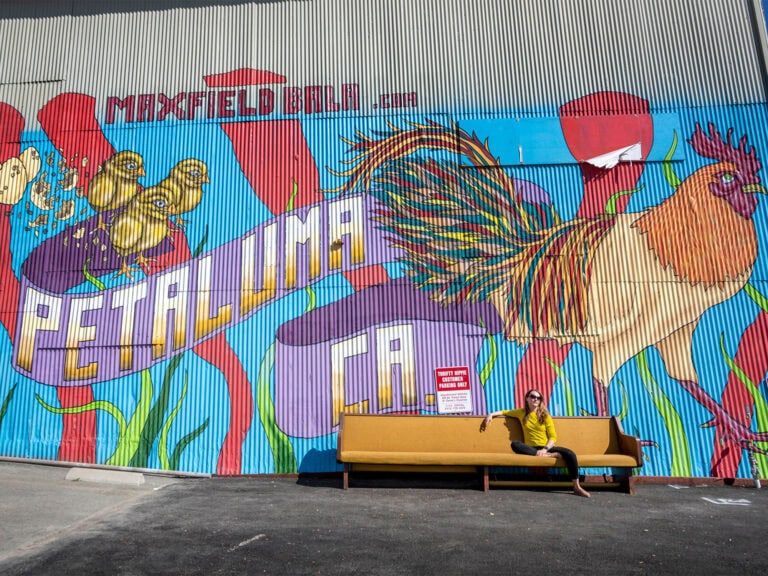 mural of a chicken and petaluma CA