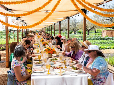 group of people have a food and wine experience at healdsburg food and wine event