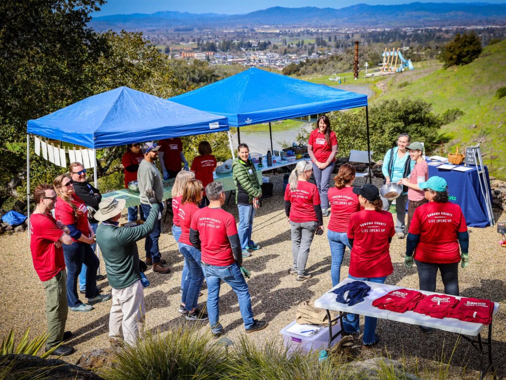 sonoma county tourism staff planting native grasslands at a winery in santa rosa