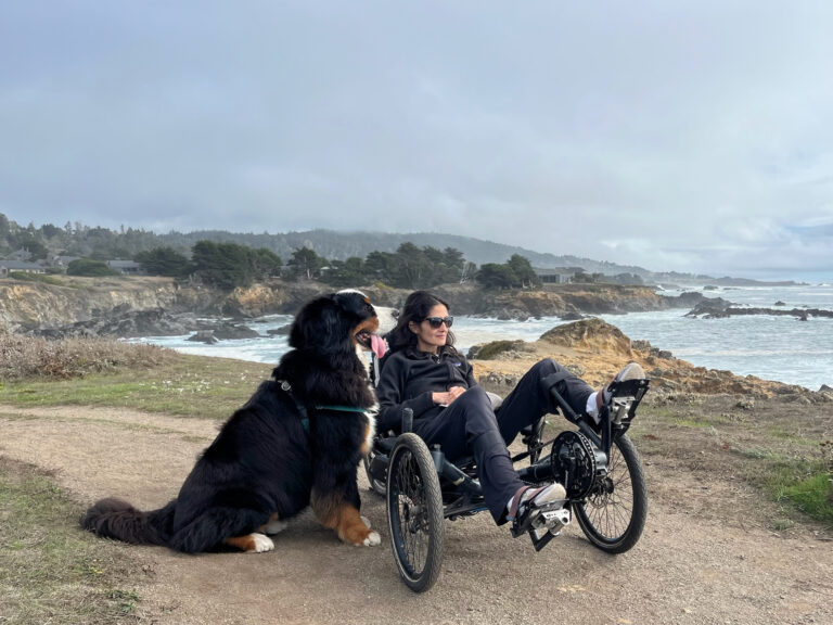 traveler in a wheelchair exploring the sonoma coast at the sea ranch