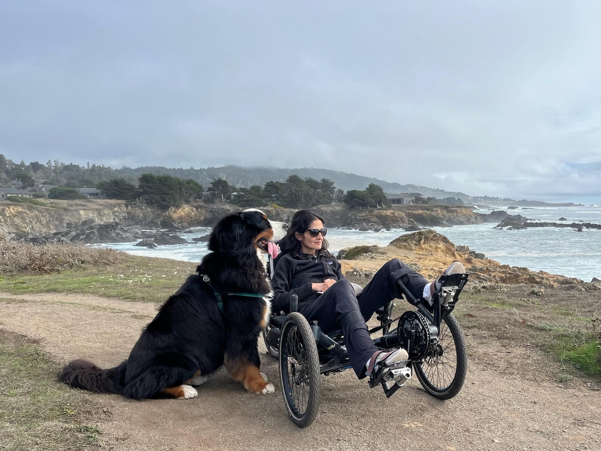 traveler in a wheelchair exploring the sonoma coast at the sea ranch