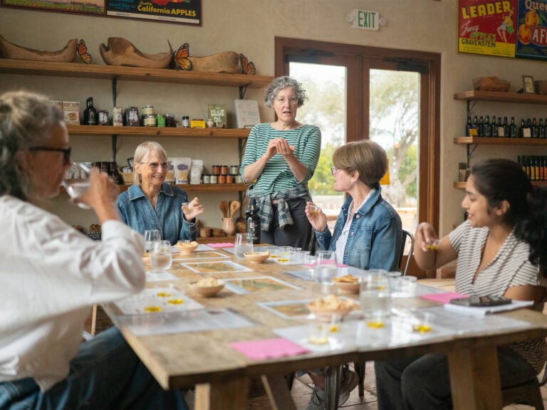 group of visitors doing a oil olive tasting at gold ridge farms in sebastopol