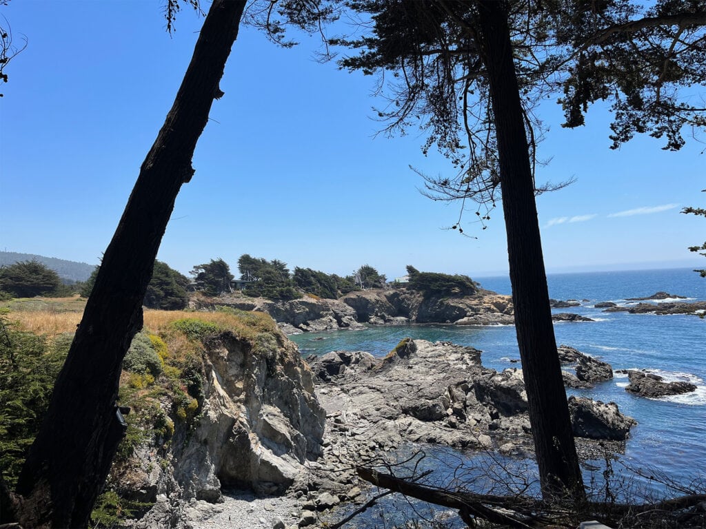 sonoma coast line in sonoma county the sea ranch