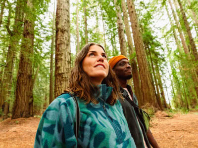 people walking in the redwoods in sonoma county