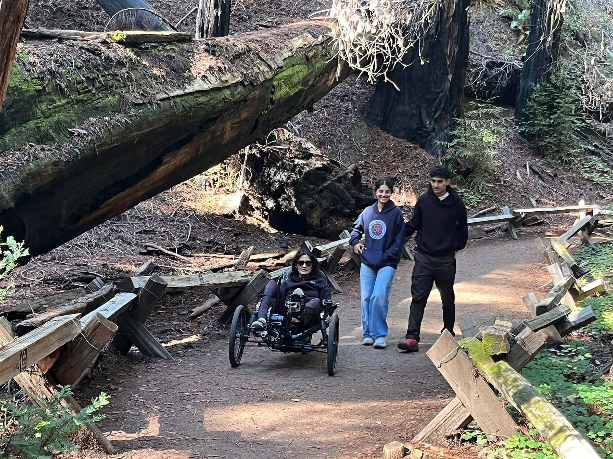 wheelchair accessible trails at armstrong redwoods state natural reserve in sonoma county