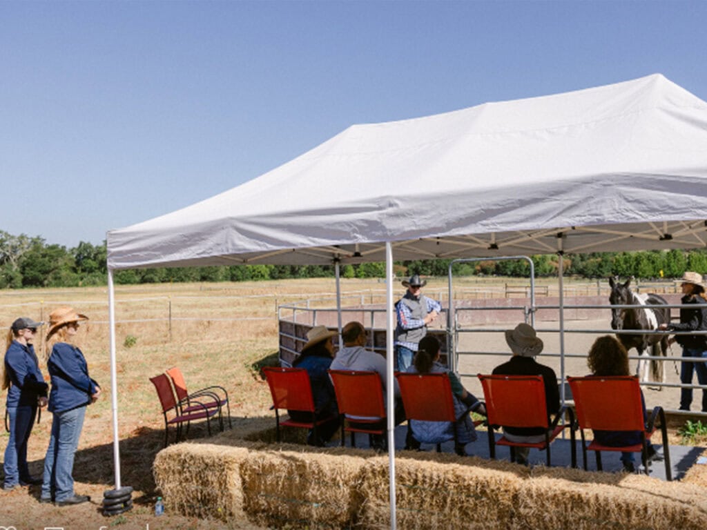 group of professionals doing a team building experience at eq2 leadership program in santa rosa