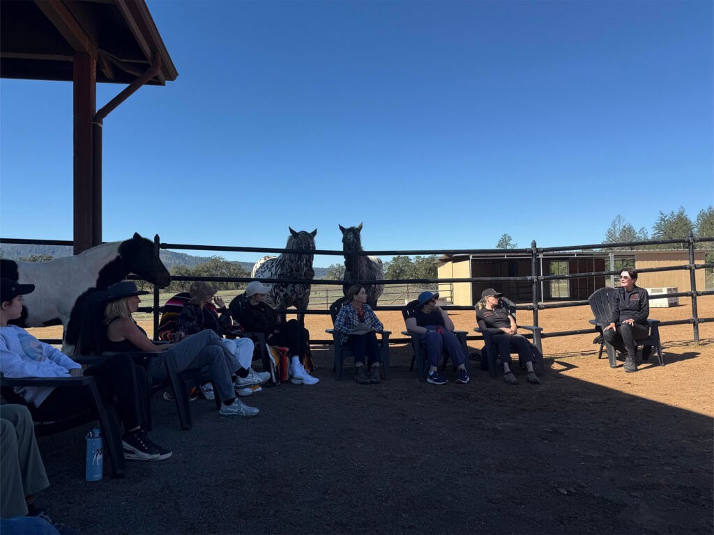 group of people forest bathing with horses at belos cavalos in kenwood sonoma county