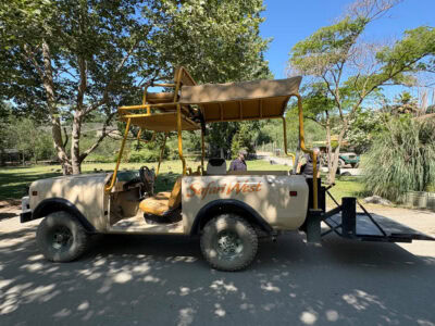 wheelchair accessible safari jeep tour at safari west in santa rosa