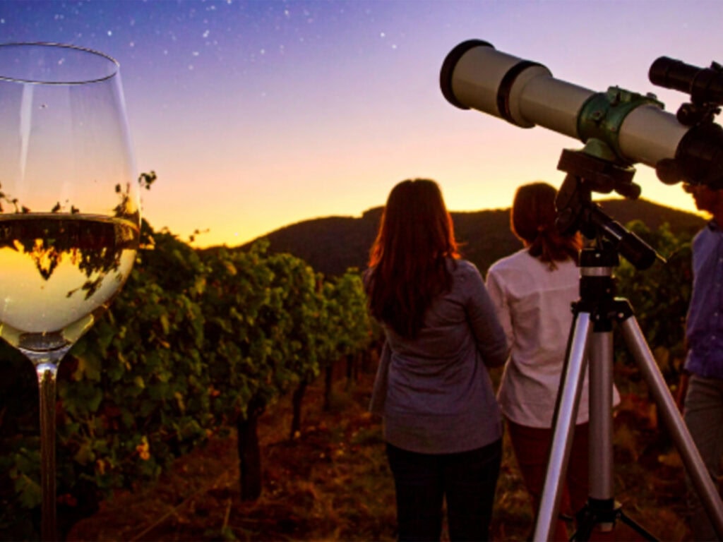 group of friends attending the dinenr and dark sky night event at st francis winery in sonoma county