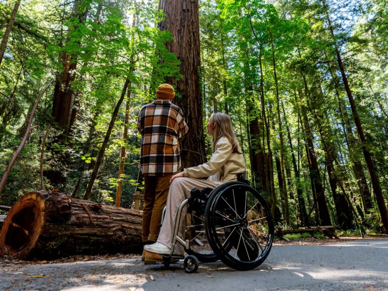 wheelchair friendly trails at armstrong redwoods in sonoma county