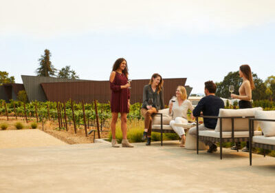 group of people having a glass of wine in the sonoma county vineyards