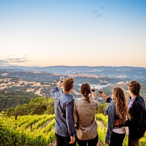 Group of people experiencing sonoma county wines in the vineyards