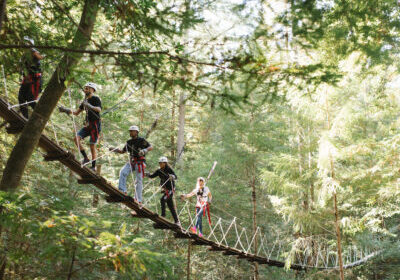 Group of people ziplining through the redwoods in sonoma county