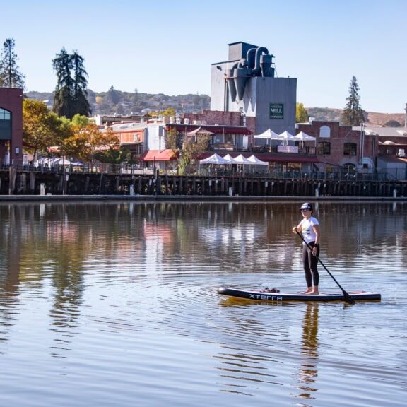 visitor paddle boarding the petaluma river in sonoma county