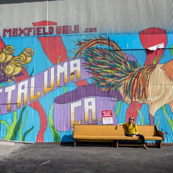 mural of a chicken and petaluma CA