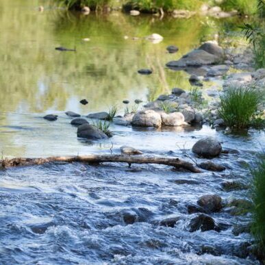 Enjoy the Russian River as it meanders through Cloverdale River Park in Northern California