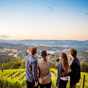 group of people enjoying a glass of wine in the sonoma county vineyards