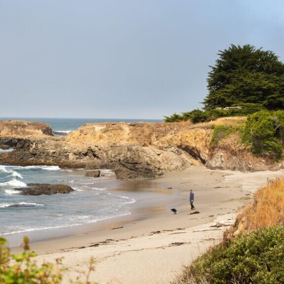 person and their dog walking the beach at sea ranch coastal access trail in sonoma county