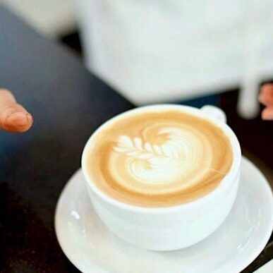 acre-coffee-petaluma-coffee-barista-1024x758-1024x758_0 Avid Coffee in Petaluma