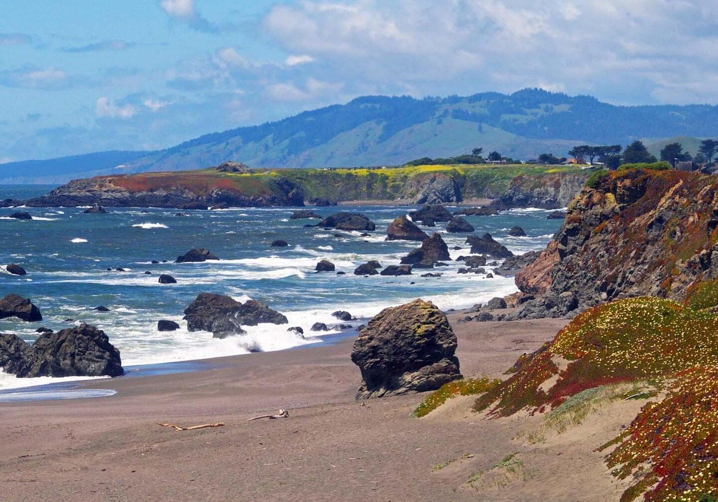 Sonoma coast line