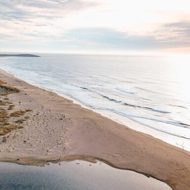 North Salmon Creek Beach in Bodega Bay, California 