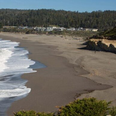 Gualala Point Regional Park