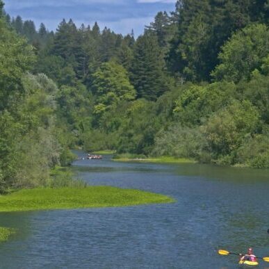 Russian River